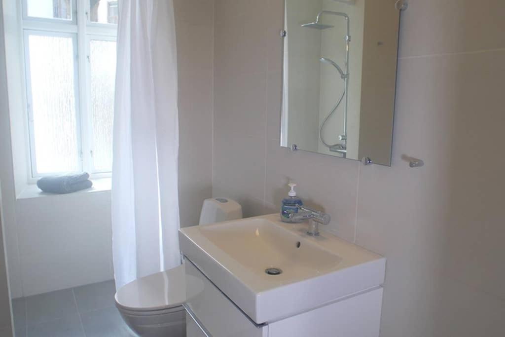 Next To New Harbor / 3 Bedroom & 2 Bath Rooms 哥本哈根 外观 照片